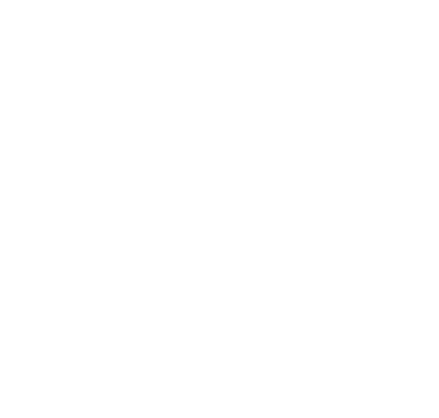 BD IRON